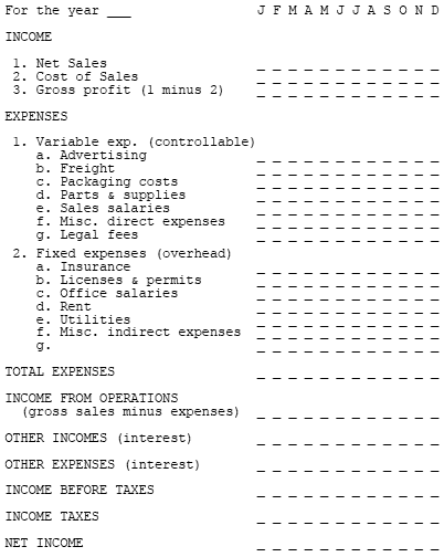 Profit and Loss Statement 1