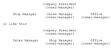 organizational chart 1