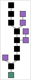 The best chain (black) consists of the longest series of transaction records from the genesis block (green) to the current block or record. Orphaned records (purple) exist outside of the best chain.